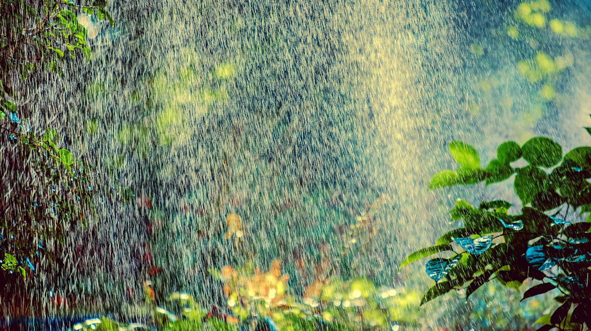 Gartenpflege und Pflasterarbeiten